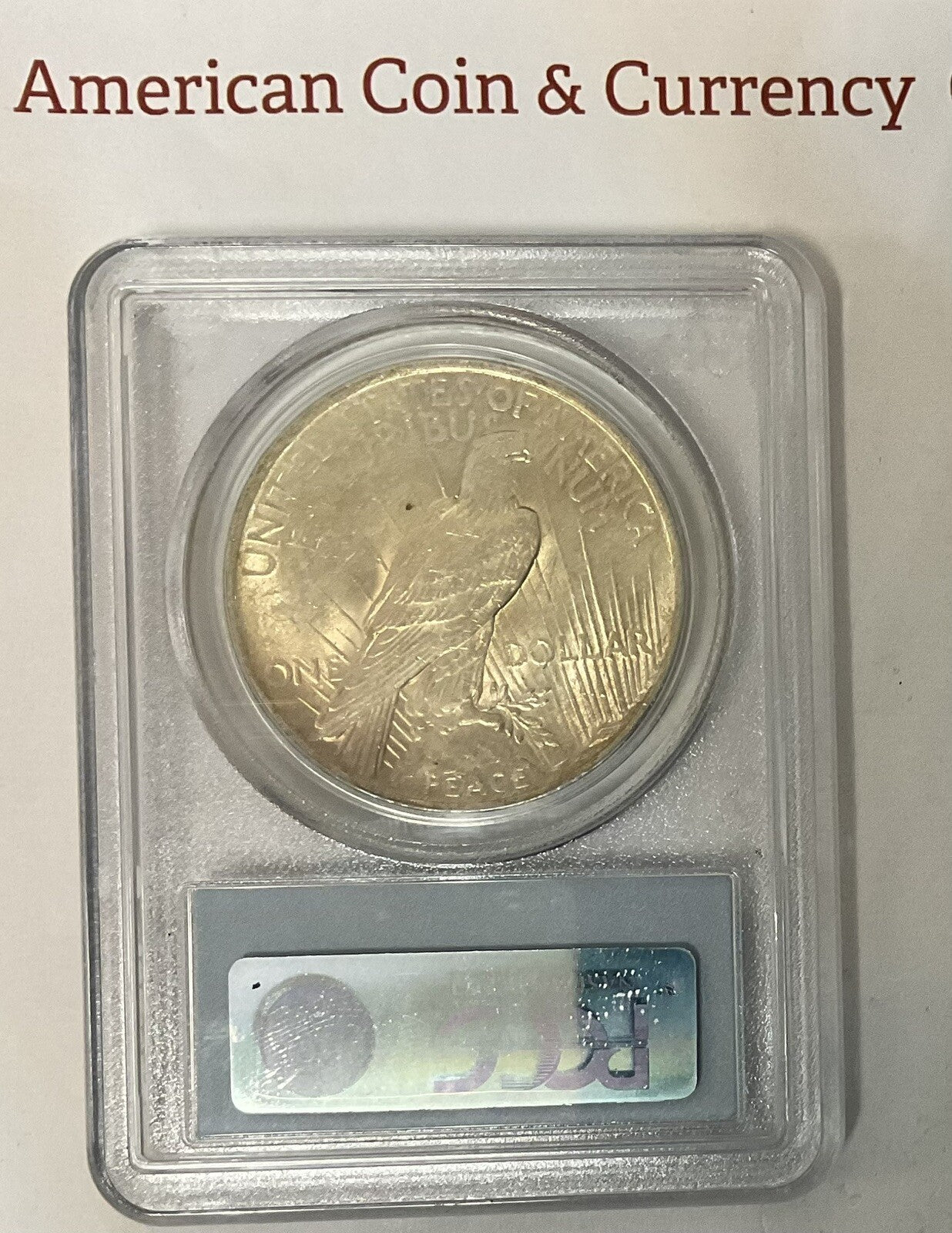 1923 Peace Dollar Top 50 VAM 1C Tail On O PCGS AU-55 California 